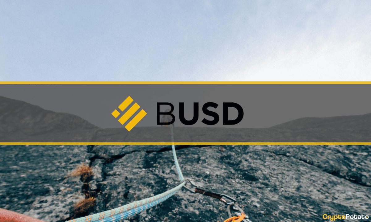Investor Panic Causes Binance USD (BUSD), Redemptions to Increase to $360M